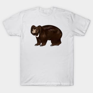 Drawing of sloth bear T-Shirt